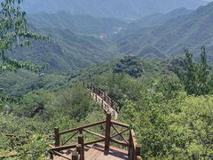 -大岭沟猕猴桃谷风景区