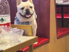 -潮德阿水牛肉火锅(深圳总店)