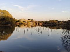 -苏州太湖国家湿地公园