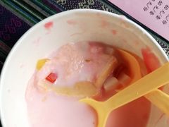 -西双版纳原始森林公园
