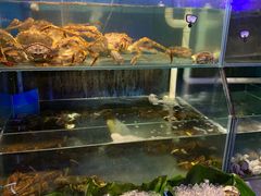 水产区-辉记炭烧海鲜大排档·老字号(福田店)