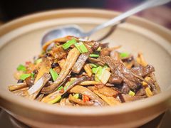 砂锅鹿茸菌-青年公社烤鸭(熙悦天街店)
