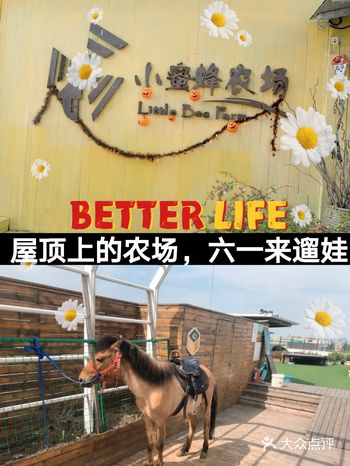 屋顶上的农场，六一来遛娃