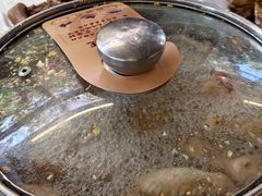 -百利鸽王(紫薇路店)