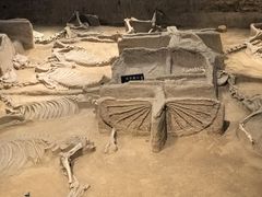 -洛阳周王城天子驾六博物馆