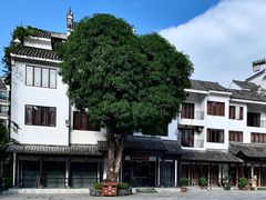 -浈阳坊旅游小镇