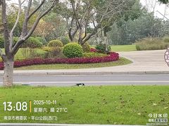 -羊山湖公园