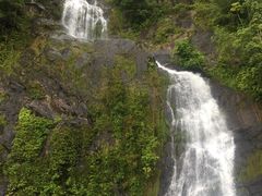 -热带雨林自然公园