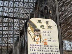 -保定市动物园