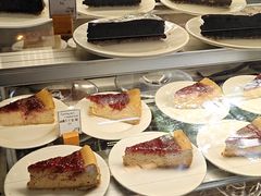 -萨尔瓦多Salvador's