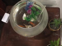 -裕和堂中医推拿艾灸(太古汇臻品店)