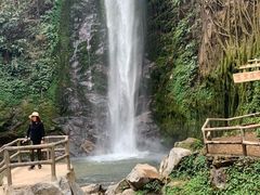 -莫里热带雨林景区
