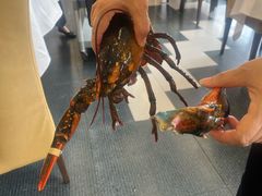-粤盛海鲜平价店(洛溪食街店)