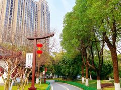 -堤角公园