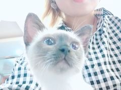 -万小咖.猫咖(中山路天虹店)