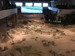 -自贡恐龙博物馆