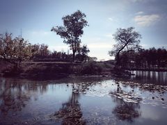 -滆湖低碳生态公园
