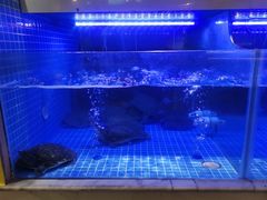-王捌小院(红花坡店)