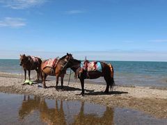 -青海湖国家重点风景名胜区