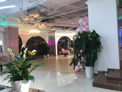 -BULB STUDIO 巴柏明星发型工作室