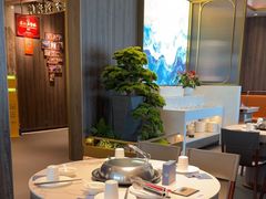 -青蓬蒸汽海鲜·深圳老字号·团建聚会(壹方城店)