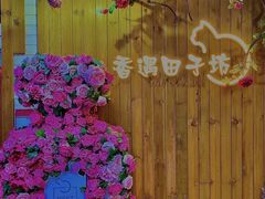 -田子坊