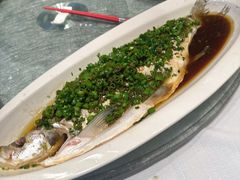 -新雅粤菜馆(南京东路店)