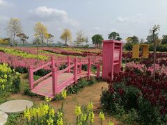 -天适樱花悠乐园