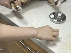 -联合动物医院(光谷诊疗中心)