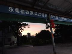 -东莞楼农家菜(金海湾大道分店)