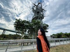-芒洲湿地公园