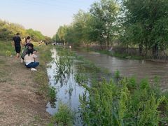 -永定河休闲森林公园