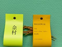 -南京书画院金陵美术馆