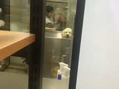 -PETKIT小佩宠物(昭化店)