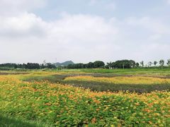 -光明小镇欢乐田园
