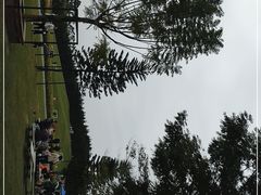 -迪茵湖田家舍生态农场