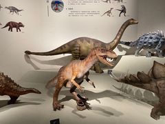 -自贡恐龙博物馆