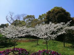 -南山植物园