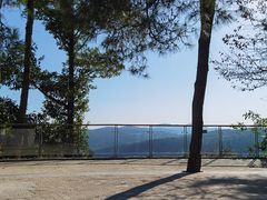 -铁山坪森林公园