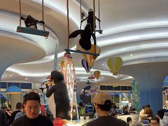 -帝企鹅自助餐厅•儿童岛•真企鹅(长隆企鹅酒店)