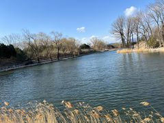 -眉州东坡(清华园店)