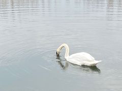 -吉林大学(前卫南校区)