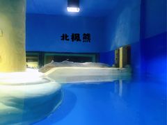 -大连圣亚海洋世界
