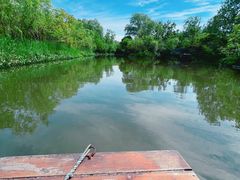 -溱湖国家湿地公园