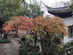 -秋霞圃