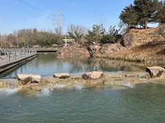 -南京珍珠泉风景区