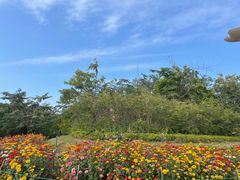 -海花岛旅游度假区