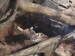 -哈尔滨波塞冬海底世界