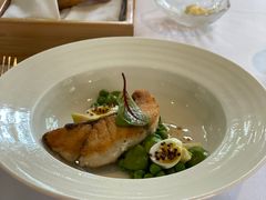 -蝶舍·MAISON PAPILLON