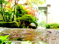 -润泽天·湘味家宴(岳麓山店)